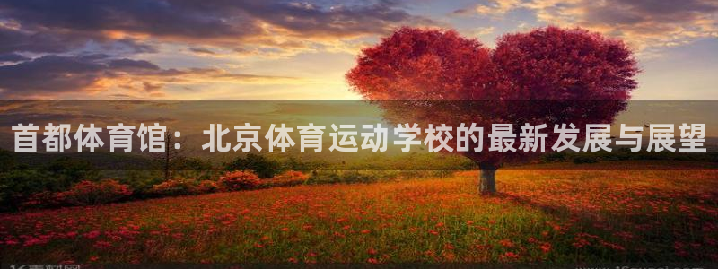 J9官网下载开户:首都体育馆:北京体育运动学校的最新发展与展