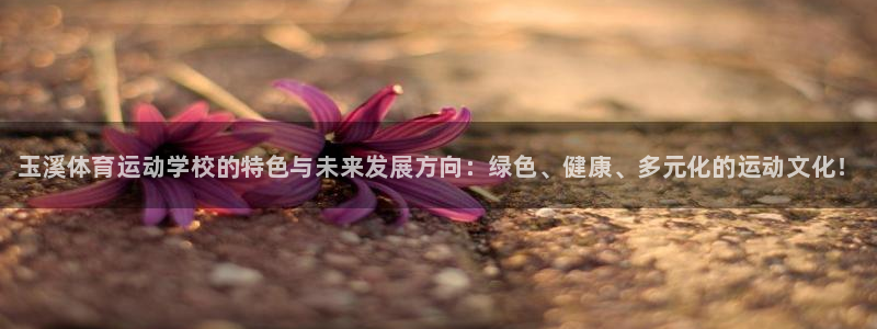 J9官方正版app官方:玉溪体育运动学校的特色与未来发展方向