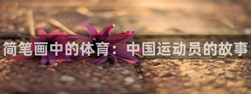 J9官网下载招商电话号码是多少啊:简笔画中的体育:中国运动员